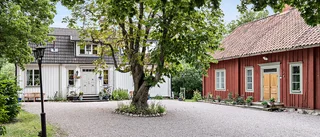 Hästgård med gamla anor lockade flest bostadsbesök
