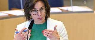 EU-kommissionens uppdrag till Enköpingskvinnan Jessika Roswall