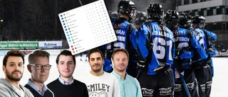 Så går det för Sirius i år: "För stökigt?"