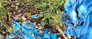 Djurkadaver lämnades i skogen – i plastsäckar