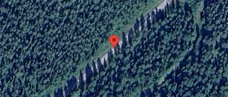 Singelolycka utanför Boden – bil i diket