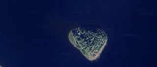 35 kvadratmeter stor stuga på Seskarö såld för 500 000 kronor
