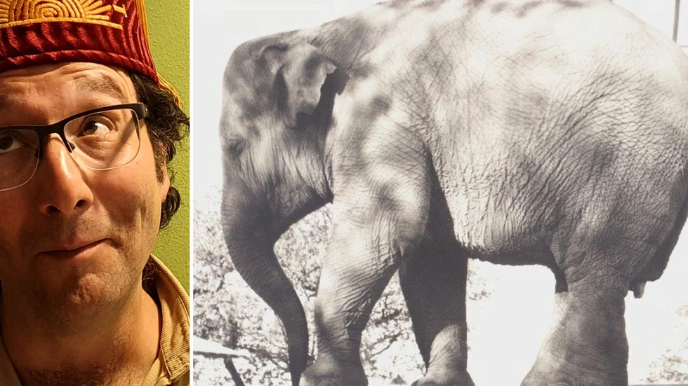Historien om elefanten som orsakade upplopp på Skänninge marken 1806 blir nu humorshow. På fredag har "Elephant Riot" premiär på Galleri Thalberg i Linköping. Mannen bakom idén är komikern Ben Kersley.
