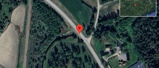 Varning för älg på vägen på väg 687