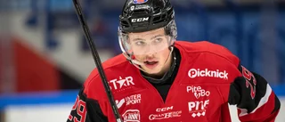 Ny skadesmäll för Piteå Hockey – missar ödesmatchen