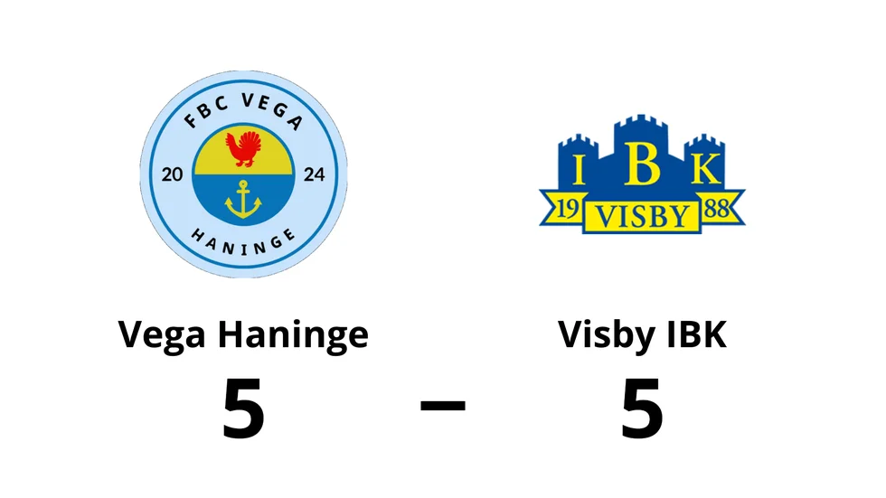 FBC Vega Haninge spelade lika mot Visby IBK