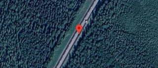 Varnar för älg på vägen på E4