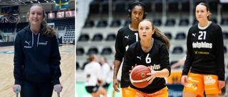 Talangens mardrömsbesked: Säsongen troligtvis över
