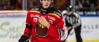 Hardegård: "Folk ska inte tro allt de läser på nätet"