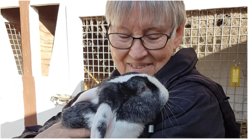 Birgitta Eriksson och hennes make Stig har 13 kaniner i sin kaningård i Julita