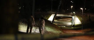 39-åring döms för mordet på Nimo