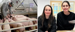 Efter pandemismällen – nya miljoner öppnar dörrar för syskonens bolag • ”En otrolig trygghet med den här typen av aktörer”