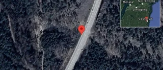 Rådjur på vägen