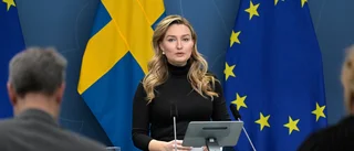 C KU-anmäler regeringen för hemligt elstöd