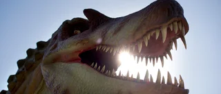 Dinosaurier kommer till Skellefteå – läs mer här: ”Diverse köttben, för alla som vågar mata de stora köttätarna…”