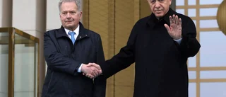 Erdogan har godkänt ratificering av Finland