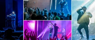 Petter kom till Culturum – och rev hela haket