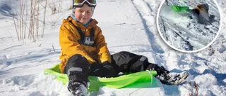 Här kraschar Tage, 8, med pulkan: "Det gick bra!"
