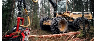 Skydda skogens historiska lämningar