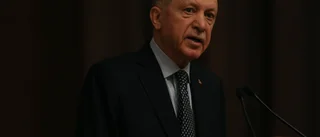 Erdogan: Spannmålsavtal förlängs