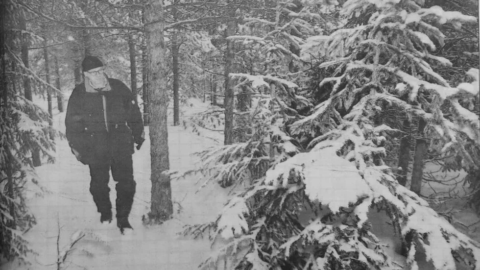GRANFEJDEN. Lars Lindberg på hemlig plats julen 1992.