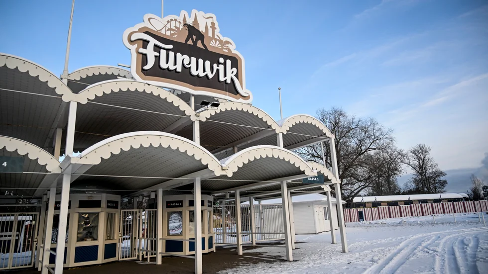 Fem schimpanser rymde, fyra av dem sköts till döds. Arkivbild.