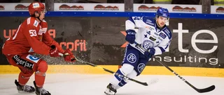 Luleå jagar leksingen: "Följt honom länge"