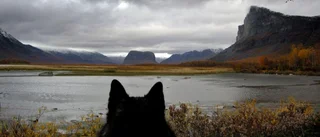 Lugnet och vidderna i fjällen lockar