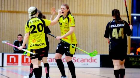 Notviken vann mot Örnsköldsvik och säkrade därmed kontraktet i serien.