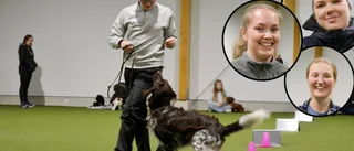Fin utmärkelse för aktiv klubb • Siktar uppåt och framåt: ”Vi har ansökt om ungdoms-SM 2024” 