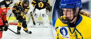 17 vinster på hemmaplan – nu vill AIK-backen få chansen i JVM: ”Har tänkt på det”