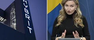 Även högern har många skäl att älska Hybrit
