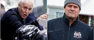 Så går Bodens jakt på ny tränare: "Vi är oerhört ledsna"