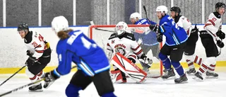 Clemensnäs värvar från kvalrivalen – forward klar