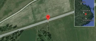 Fallna träd skapar problem i trafiken på väg 273
