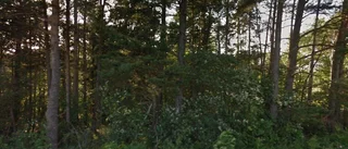 950 000 kronor för tomt på Fröjel Himlavändas Väg 1 i Fröjel