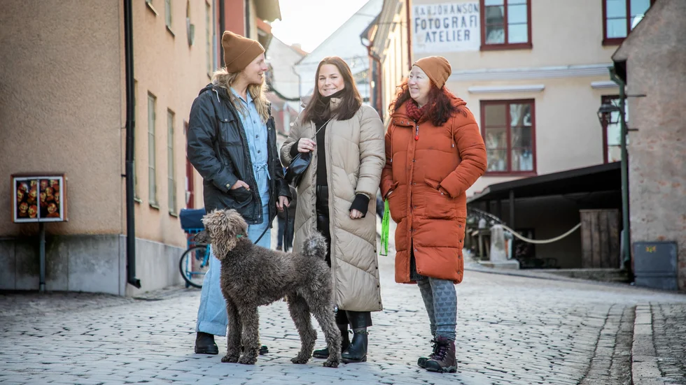 Matilda Svahn, Hanna Persdotter Bergman och Yamina Hamidi är nya adminstratörer för Reko Visby. ”Jag tror inte alla förstår skillnaden mellan att köpa mat som skördats samma dag, och den mat som legat och skämts i en butikshylla. Maten smakar helt annorlunda”, säger Matilda Svahn.