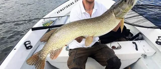 Monstergäddan fångad – för tredje gången