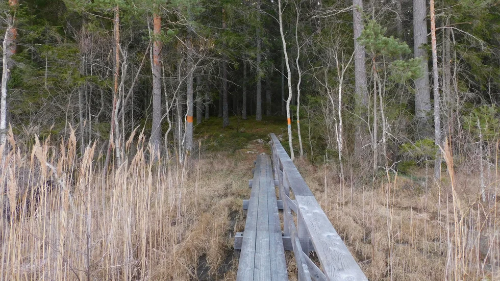 Östgötaleden har en startplats vid Skullebo naturreservat, där det också finns en spång över kärret.