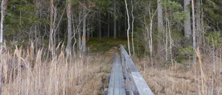 Naturreservatet borde ses som resurs, inte ett hot