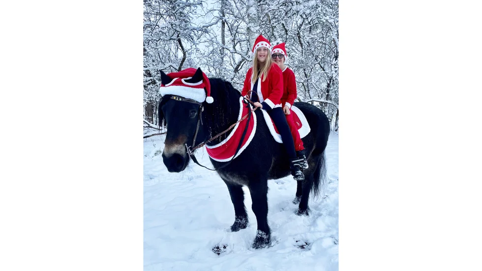 Hästen Mange, 13 år, med Caylie och Colin på ryggen.