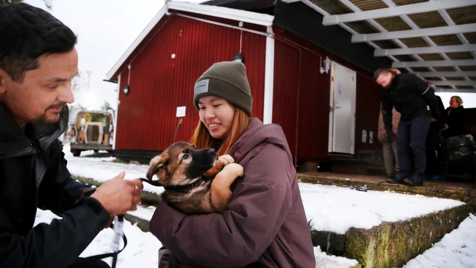 Alex Siggelin är en av de gotländska fodervärdskonsulenterna som jobbar för Försvarsmakten på ön. Här lämnar han Skippi och ett koppel till Stina Hedenius.