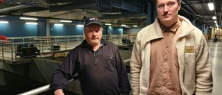 • Tamponger • Kondomer • Våtservetter • Här är de vanligaste "fulspolningarna": "Vi har hittat rakblad"