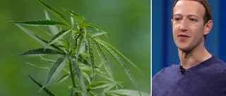 Umebo ville stämma Mark Zuckerberg – hade förlorat 10 000 i cannabisbedrägeri