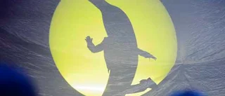 Kärleken är gul - och har böj