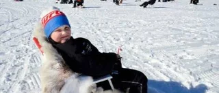 Soligt och trivsamt vid årets pimpeltävling