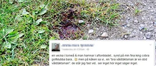 Hagamannen: 30-åringen släppt på fri fot