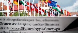 Quiz: Känner du igen de olika språken? • Hur många rätt får du?