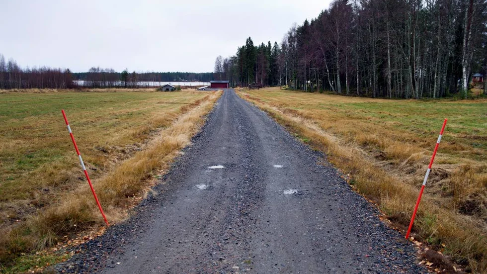 VÄGEN. Markägaren Gunnar Liljedahl högg ner en gammal björkallé längs den här vägen i Kallviken och anlade en parkeringsplats för båthamnens medlemmar.
