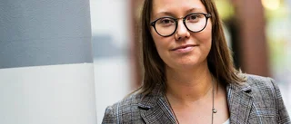 Landstingets nya styre – statsvetarens analys